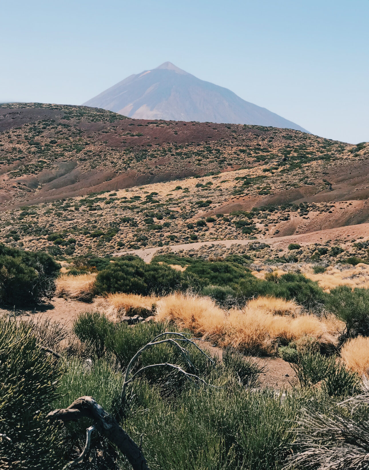 Caravanas Arure Branding