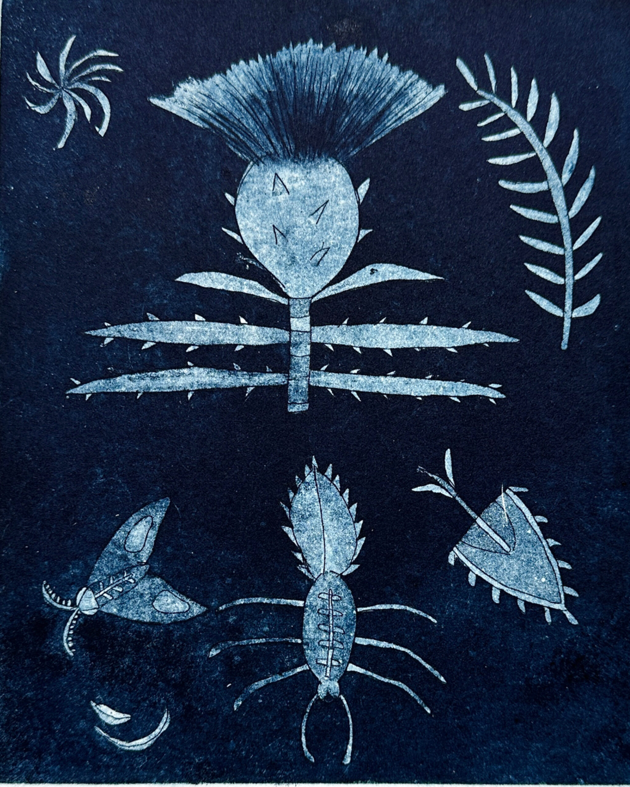 aquatint and etching print